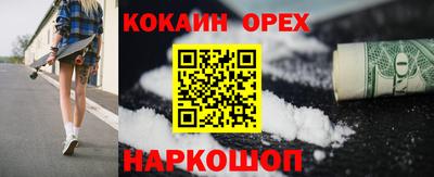 гашик Новозыбков
