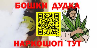 гашик Новозыбков