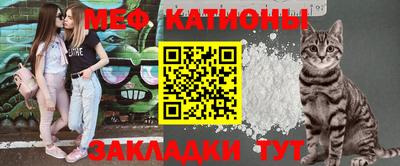 гашик Новозыбков