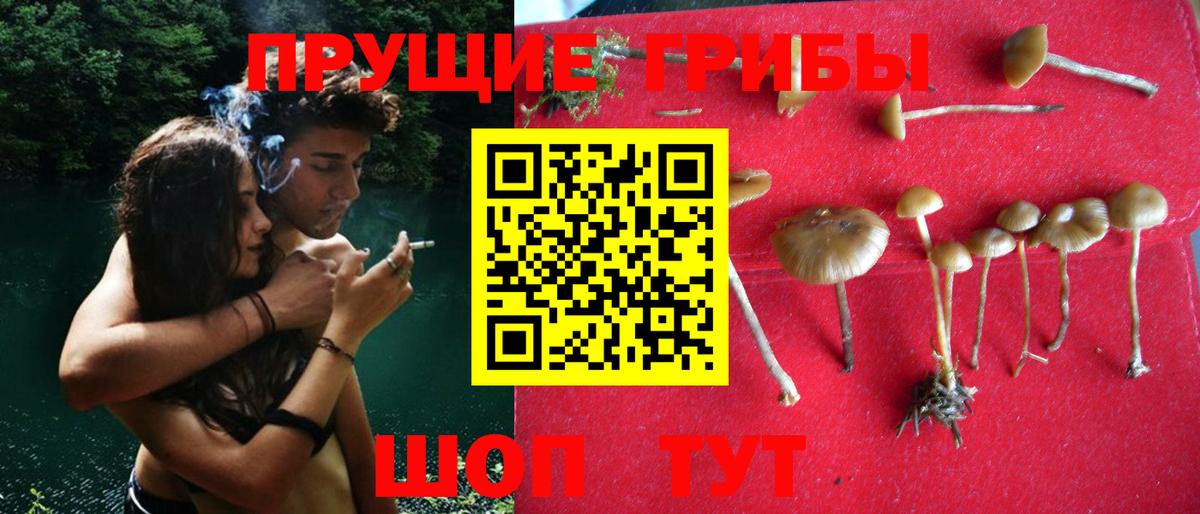 Галлюциногенные грибы прущие грибы Чайковский