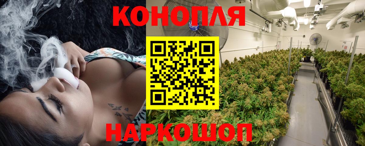 Бошки Шишки конопля  Бошки марихуана SATIVA & INDICA  Марихуана OG Kush  Вход с VPN  Шишки марихуана THC 21%  Чайковский 